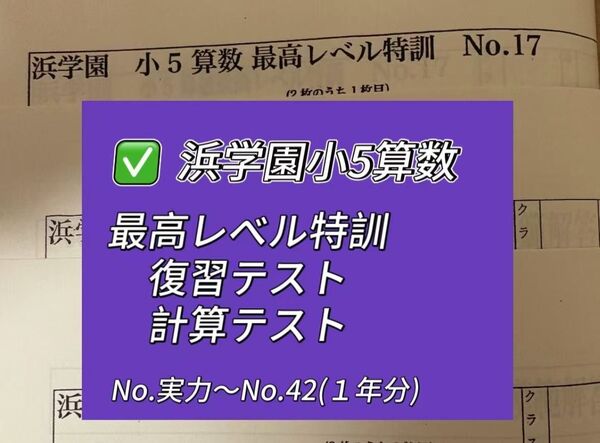 浜学園 小5 算数 最高レベル特訓 復習テスト、計算テスト