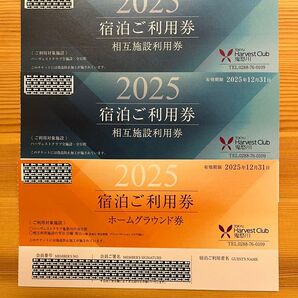 東急ハーヴェストクラブ 鬼怒川 ホーム券1枚+相互券2枚 計3枚セット