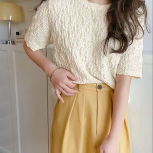 新品 Java 半袖 1枚でカジュアル映え。クラッシュジャガード半袖Tee しまむら UNIQLO ZARA