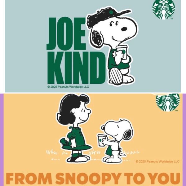 海外スタバ 台湾限定 スターバックス PEANUTS スヌーピーコラボ スタバカード 2枚セット 完売品