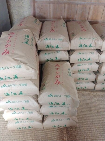 お待たせしました。令和6年(2024)産・滋賀県産環境こだわり米・みずかがみ・10Kg No-4 玄米
