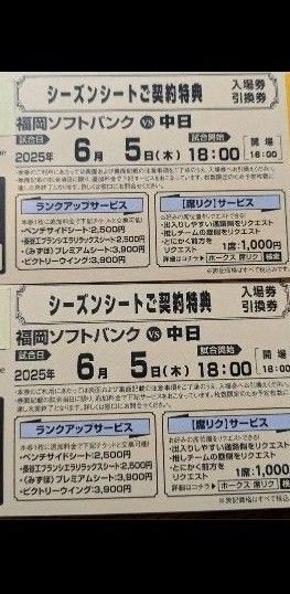 6月5日 ソフトバンクホークスVS中日 入場券引換券 ペアチケット