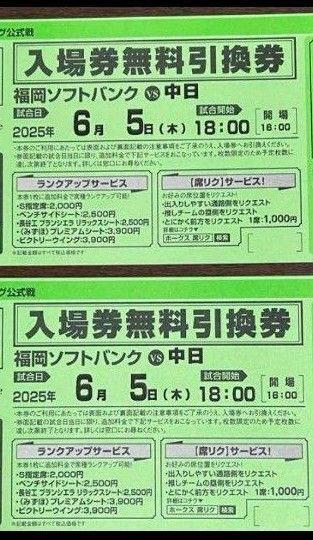 6月5日 ソフトバンクホークスVS中日 入場券引換券 ペアチケット