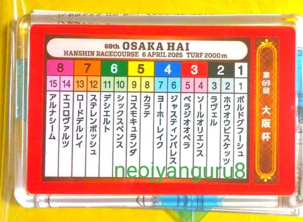 2025年*大阪杯*想い出 馬券ホルダー*阪神競馬場*思い出*ベラジオオペラ*ロードデルレイ*ホウオウビスケッツ*JRA
