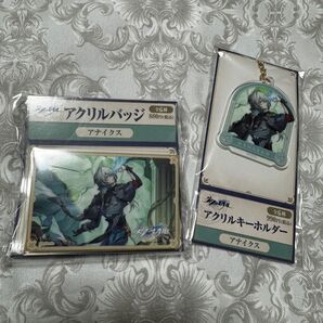 【新品未開封】崩壊スターレイル ローソン コラボ アナイクス アクリルバッジ アクキー【即購入◎】