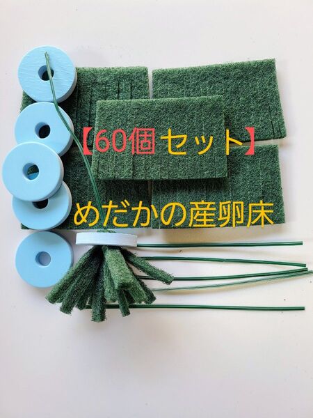【60個セット】めだかの産卵床 60個セット 七屋オリジナル【メダカ トリーナ 水草 浮草 めだかの卵 有精卵】