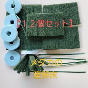【最安値】めだかの産卵床 12個セット 七屋オリジナル【メダカ トリーナ 水草 浮草 めだかの卵 有精卵】