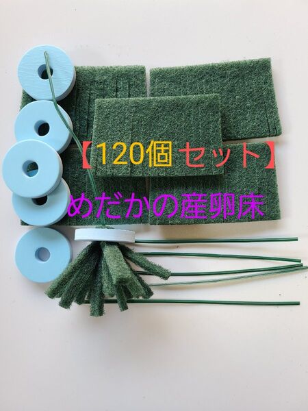 【120個セット】めだかの産卵床 120個セット 七屋オリジナル【メダカ トリーナ 水草 浮草 めだかの卵 有精卵】