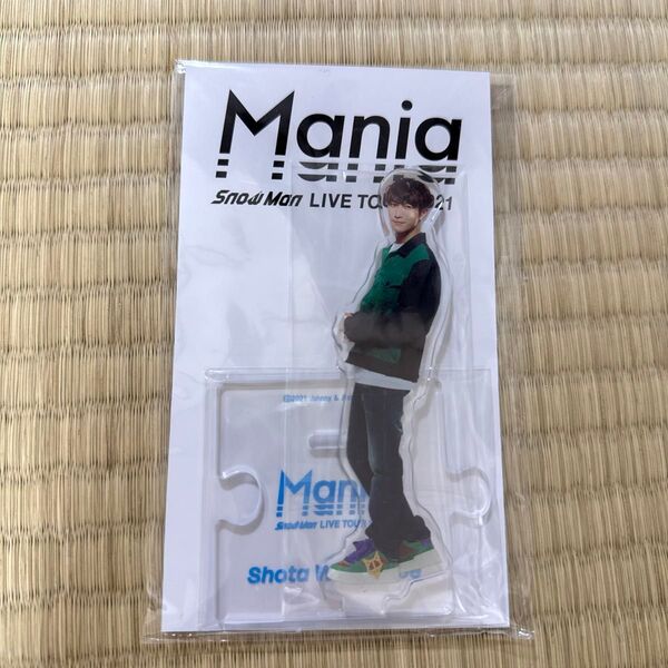 Snow Man LIVE TOUR 2021 Mania アクリルスタンド 渡辺翔太
