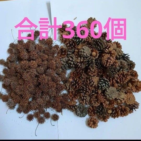 松ぼっくり大、中、小+モミジバフウ 合計360個