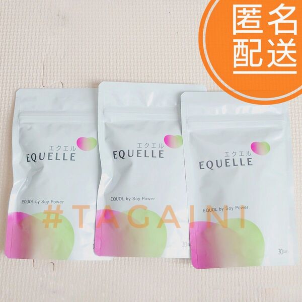 大塚製薬 エクエル パウチ 120粒×3個