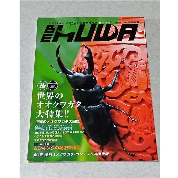 中古)BE-KUWA16 世界のオオクワガタ大特集 ビークワ