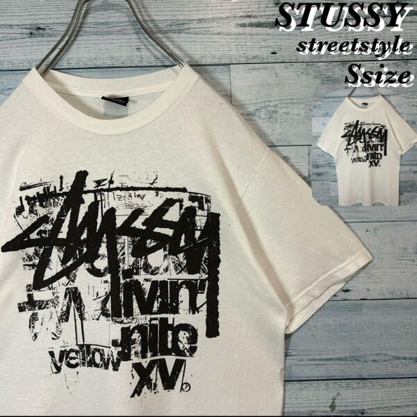 【ビッグロゴ】STUSSY デカロゴ Tシャツ ストリーステューシー ヴィンテージ S