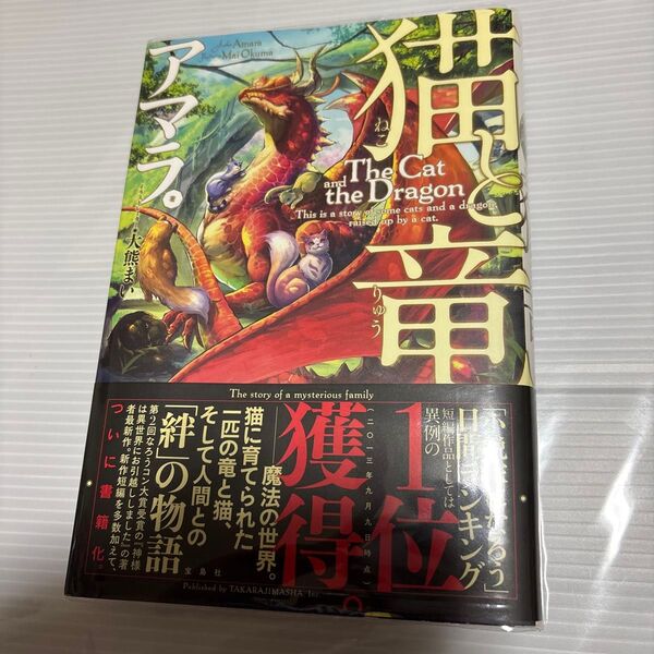 猫と竜 アマラ/著