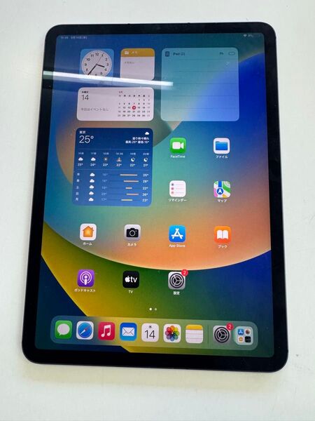 美品 SIMフリー iPad pro 11インチ 第3世代 256GB 難ありお買い得品 Wi-Fi Cellular