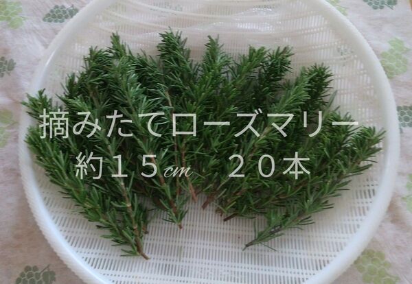 無農薬ローズマリー ( カット枝20本摘みたて後発送)