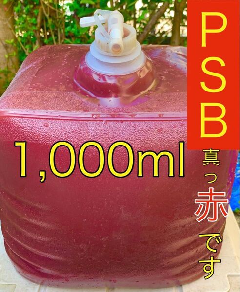 【PSB真っ赤です。】 小分け1000ml 光合成細菌 水質浄化 メダカ