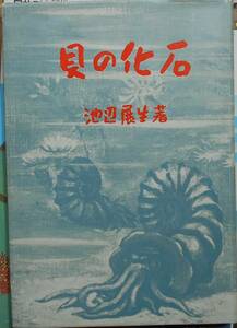 貝の化石　　池辺展生