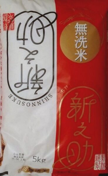 無洗米 5kg 令和6年産 新潟県産 新之助 4月精米 白米 新米