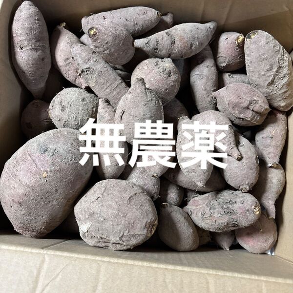 とても小さなさつまいも 箱込みおおよそ5キロ 農家直送