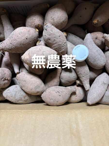 とても小さな安納芋 農家直送 箱込みおおよそ5キロ