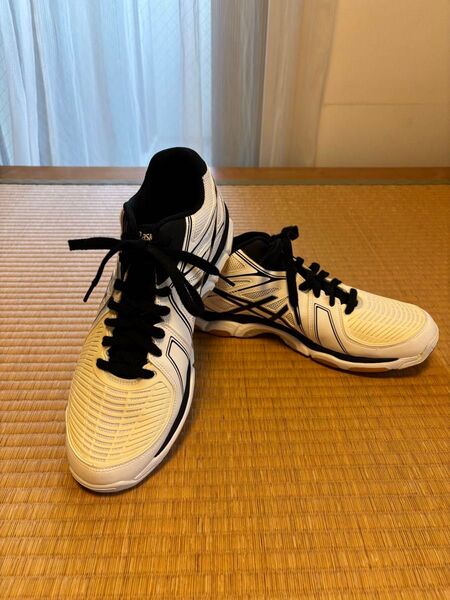 【お値下げ】アシックス GEL-NETBURNER BALLISTIC(ミッドカット)28.5cm