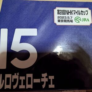 【NHKマイル限定販売ミニゼッケン】カルロヴェローチェ