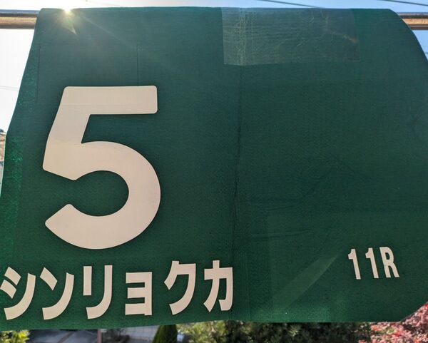 【実使用ゼッケン】シンリョクカ 中山牝馬ステークス3着