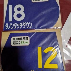 【期間限定販売ミニゼッケン】ダノンタッチダウン