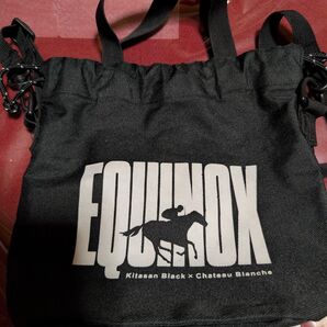 ☆【非売品】イクイノックス ミニバッグ
