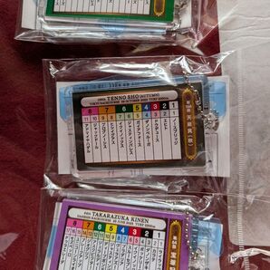 競馬 記念ホルダー イクイノックス