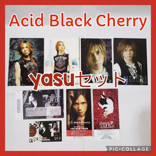 Acid Black Cherry ピクチャーチケット 半券 yasu ポスカ付