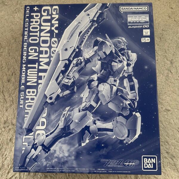 MG ガンダム アストレア プロトGN ツインブロードブレイド 機動戦士ガンダム00P ガンプラ