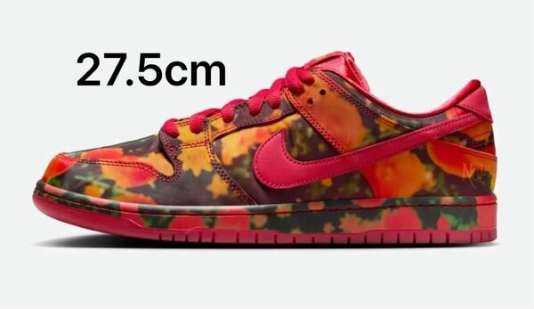 NIKE SB DUNK LOW PRO WOO QS 27.5cm ナイキSB ダンク オズ