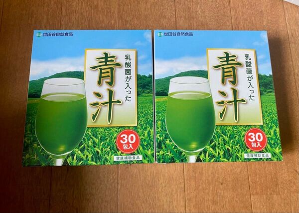 乳酸菌が入った青汁 新品未開封世田谷2箱 全部60袋