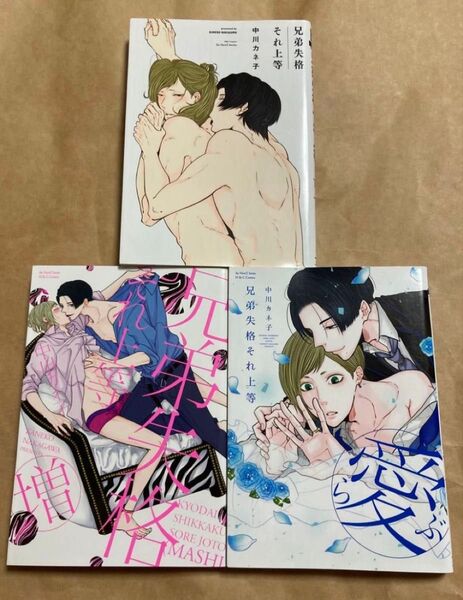 兄弟失格それ上等 (増)(愛)中川カネ子 完結 全3巻セット BL コミック まとめ売り