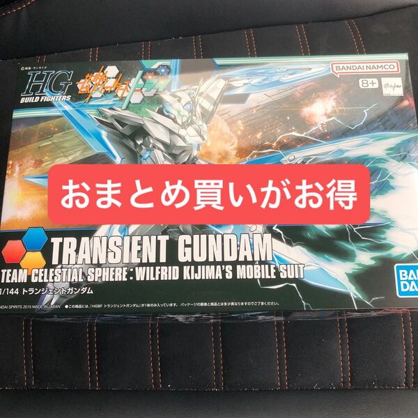 HG 1/144 トランジェントガンダム