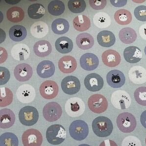 CBポプリン 猫 サークル 水玉 1M ミント 生地