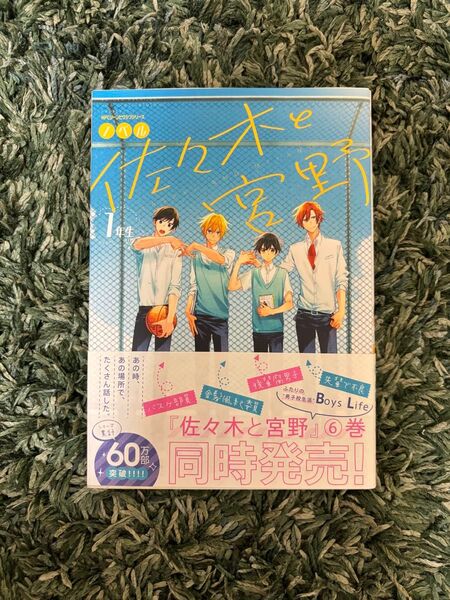 佐々木と宮野 1年生 ノベル 春園ショウ BL