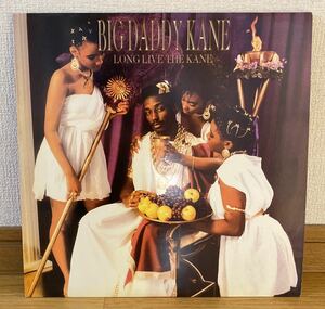 Big Daddy Kane Long Live The Kane Cold Chillin' Marley Marl Biz Markie Juice Crew Rakim Ultramagnetic MC's Masta Ace EPMD Jay-Z