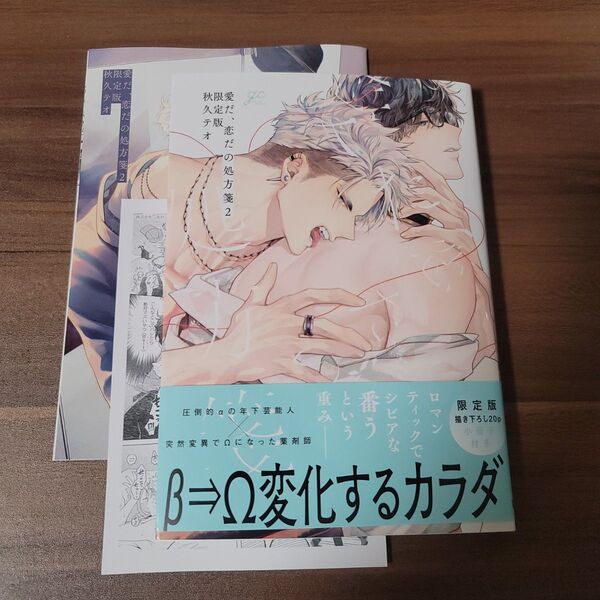 愛だ、恋だの処方箋2 限定版 秋久テオ BLコミック