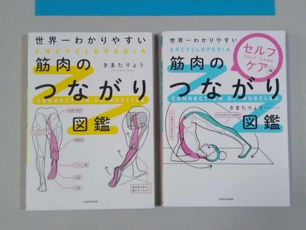 2冊 世界一わかりやすい 筋肉のつながり図鑑 基本編、セルフケア編