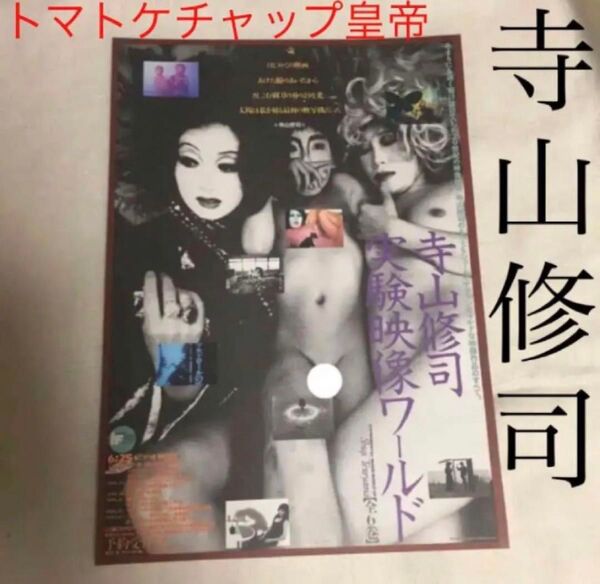 【クーポンご利用どうぞ】チラシ フライヤー 寺山修司 実験映像ワールド 天井桟敷 ビデオ発売告知ちらし トマトケチャップ皇帝
