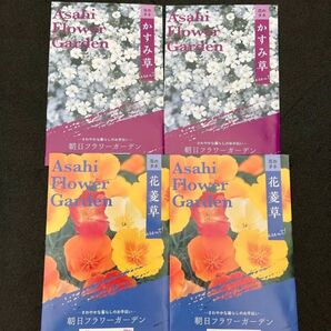 サカタのタネ 花の種 全4袋 かすみ草&花菱草 各2袋
