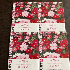 サカタのタネ 花の種 コスモスの種 4袋 コスモス こすもす