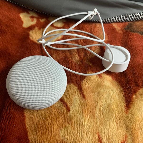 Google Home Googleアシスタントです