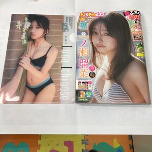ヤングチャンピオン 2025.5.13 NO10一ノ瀬瑠菜 クリアファイル付き アイドルDVD付き 美品