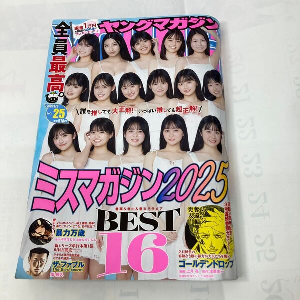 ヤングマガジン 2025年6月2日号 No.25 ミスマガジン2025 BEST16のグラビア 美品