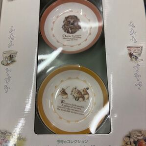 ピーターラビット はりねずみとてんじくねずみの小皿 2枚セット