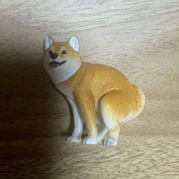 ふんばり〜ぬ 柴犬